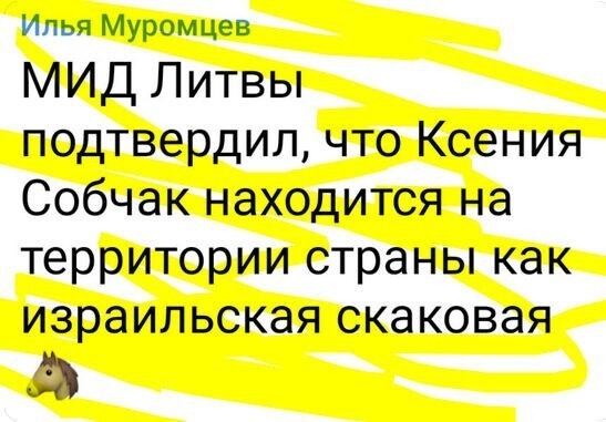 О политике и не только