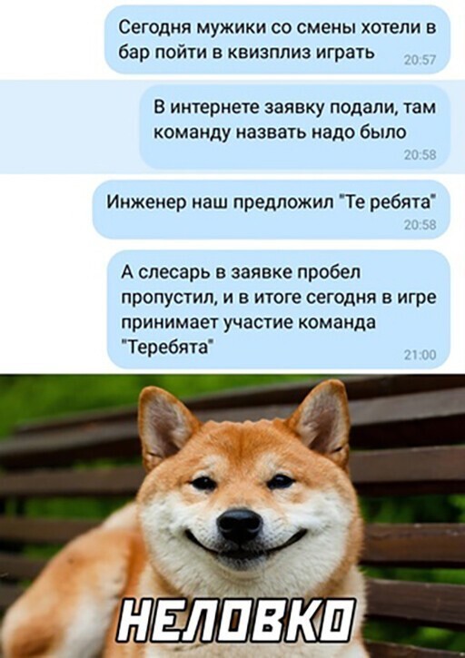 Смешные и познавательные картинки