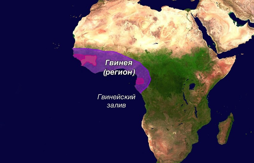 Почему в мире существуют 4 страны с названием «Гвинея»?