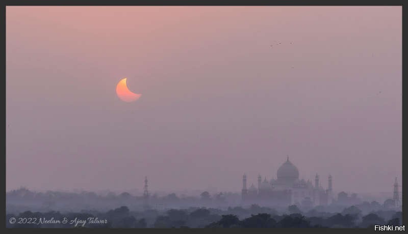 25 октября из Агры в Индии можно было увидеть, как Солнце и Луна заходят вместе