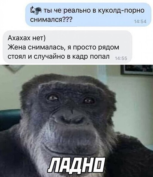 Смешные и познавательные картинки