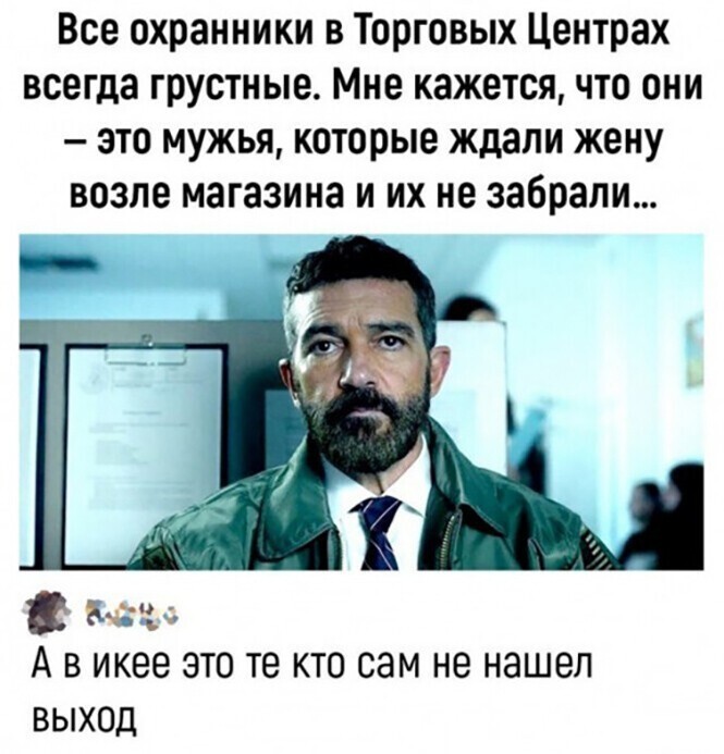 Смешные и познавательные картинки