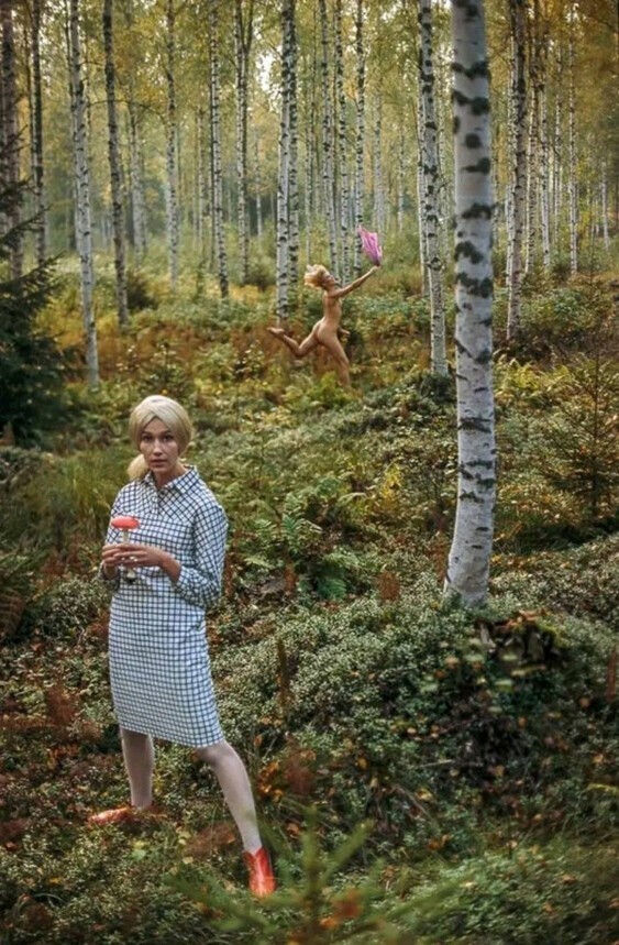 Лесные грибы. Финляндия, 1964 год. Фото: Тони Ваккаро