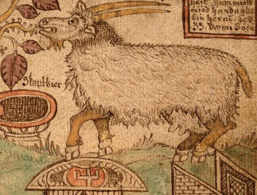 Пивная коза, доставшая жена и другие любопытные факты и истории