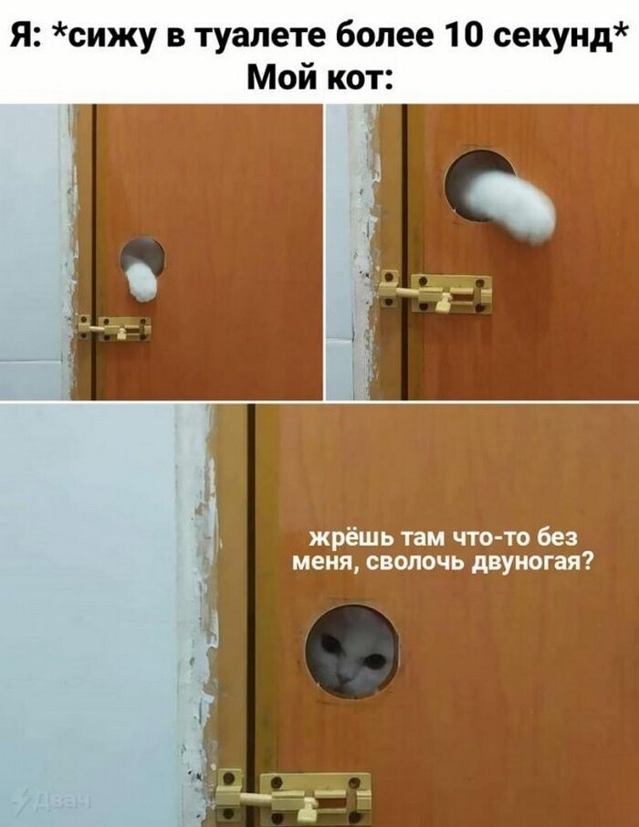 Всё вразнобой