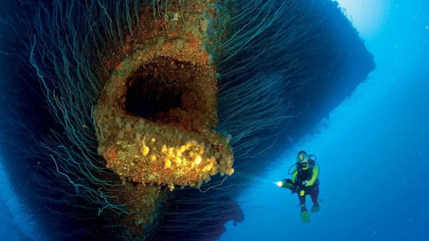 Подводные аномалии, которые до сих пор ставят ученых в тупик