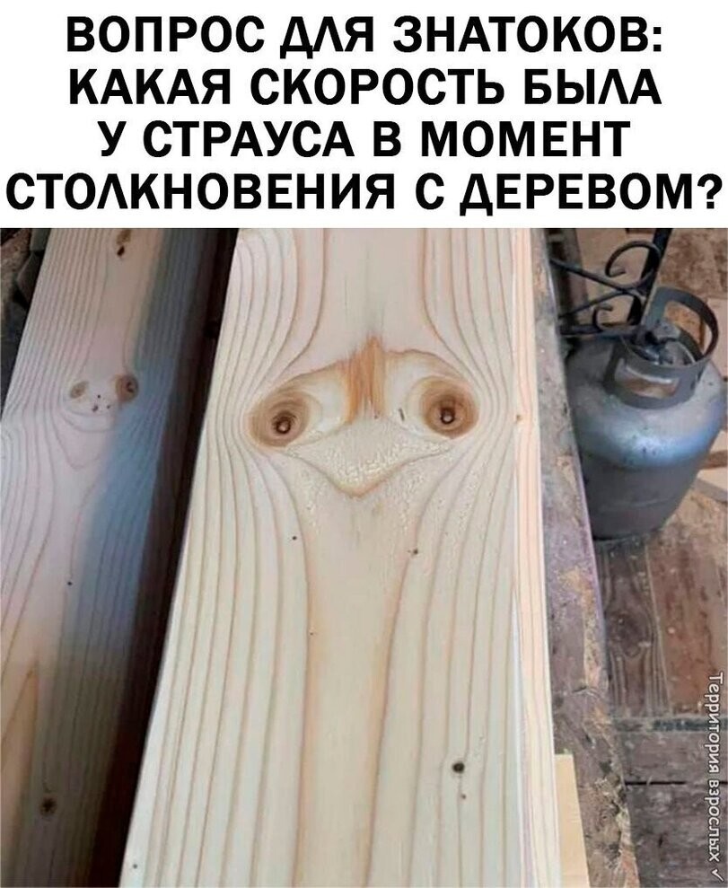 Смешные картинки