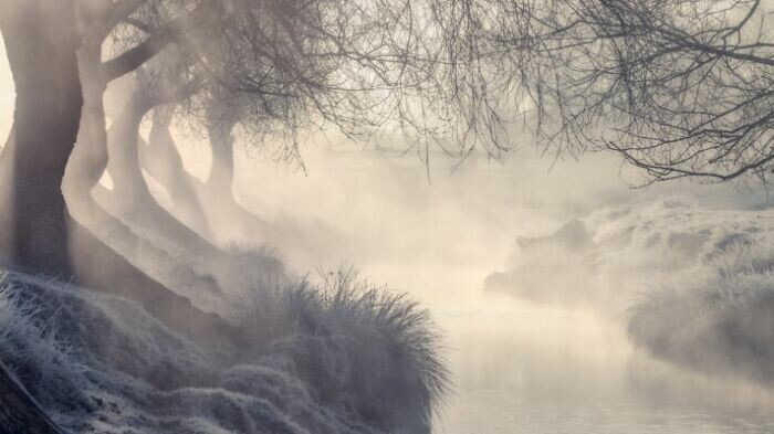 2. Высокая оценка в категории «Классический пейзаж»: Эндрю Робертсон, «Туман»