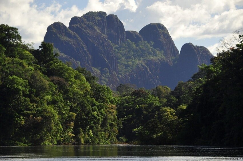 Природный парк Браунсберг — природный заповедник, расположенный в Суринаме