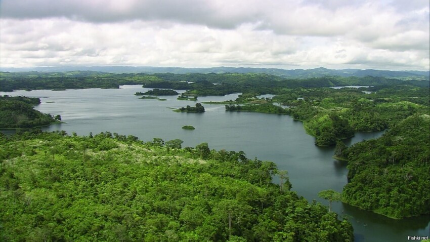 Природный парк Браунсберг — природный заповедник, расположенный в Суринаме