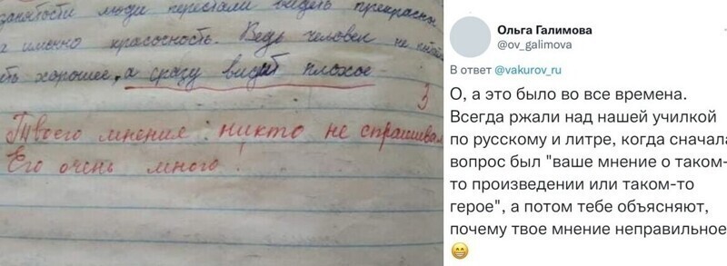 "Твоё мнение не спрашивали!": пользователи рассказали о сочинениях и учителях по литературе, которые отбивали желание ходить в школу