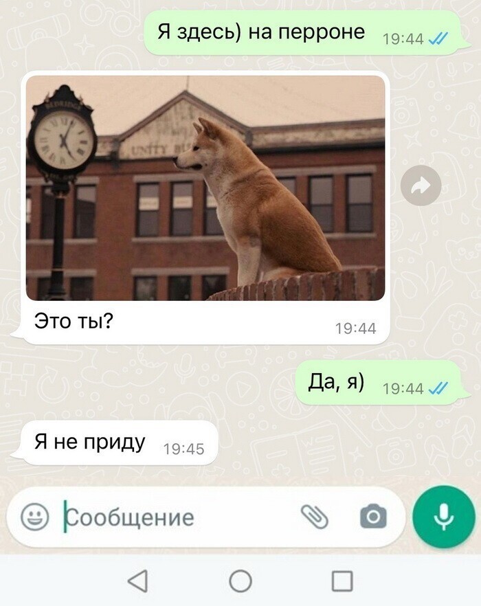 Скрины из соцсетей