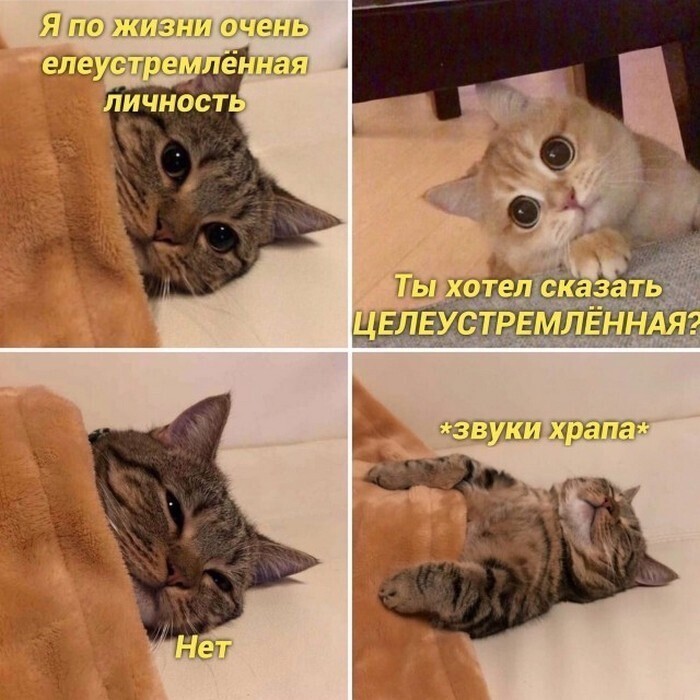 На общую тему