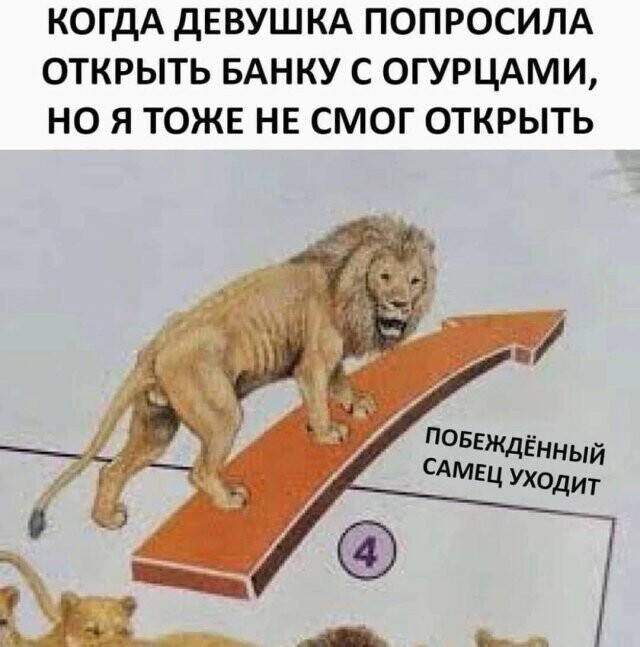 Не ищите здесь смысл. Здесь в основном маразм