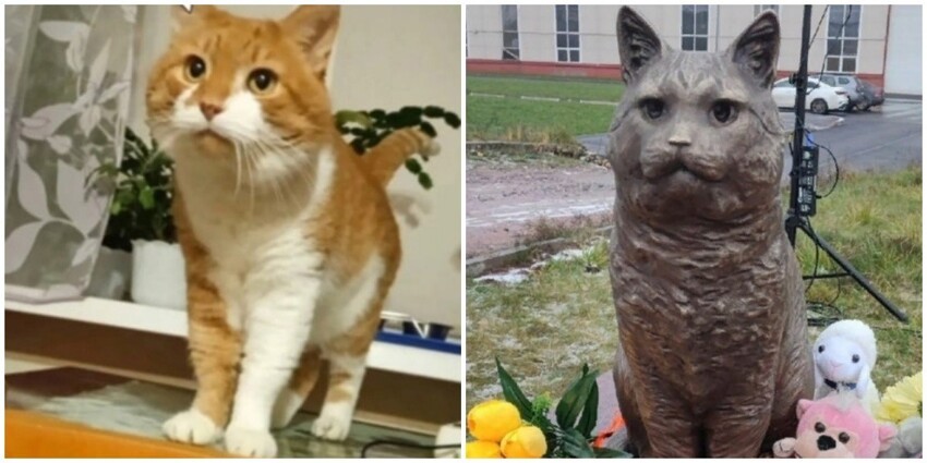 В Санкт-Петербурге открыли памятник коту Кузе, который пострадал от рук "людей"