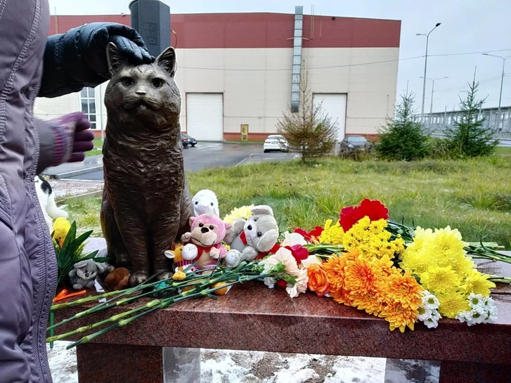В Санкт-Петербурге открыли памятник коту Кузе, который пострадал от рук "людей"