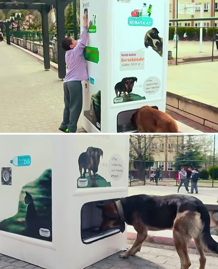 Автомат в Турции, который выдаёт корм для бездомных собак в обмен на бутылки на переработку