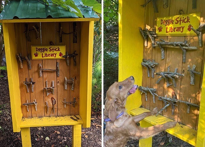 "Библиотека палочек для собак" в одном парке