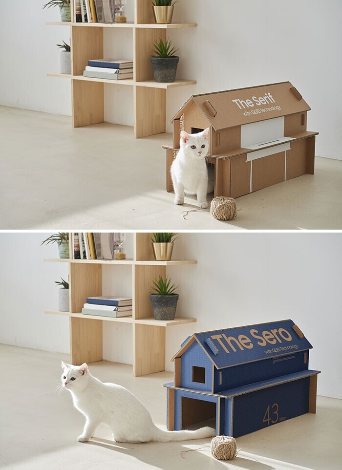 Компания Samsung теперь выпускает для своих товаров коробки, из которых можно легко собрать кошачий домик