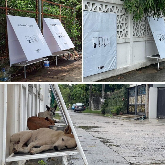 Мини-домики для бездомных собак в Таиланде, сделанные из переработанных материалов