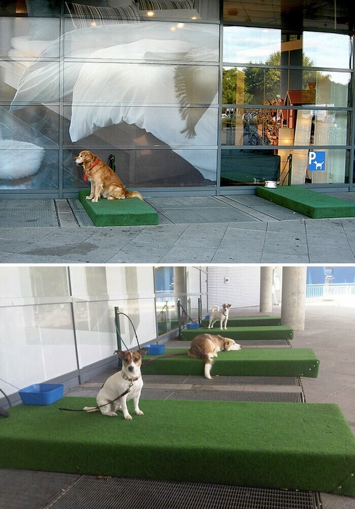 Возле Икеи сделали специальные комфортные местечки для собак, где хозяева могут спокойно оставить их, пока они делают покупки