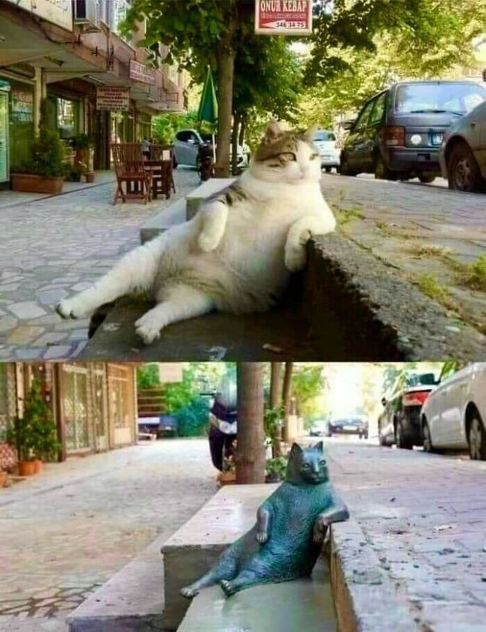 3. Статуя знаменитого бродячего кота Томбили в Стамбуле. Томбили часто сидел в такой позе, наблюдая за прохожими