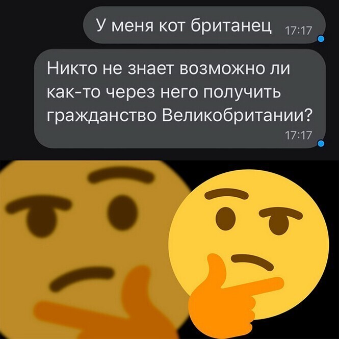 Смешные и познавательные картинки