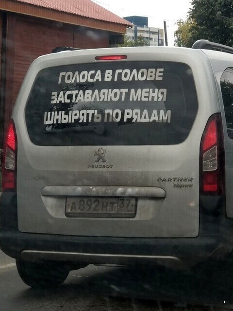 Автовсячина