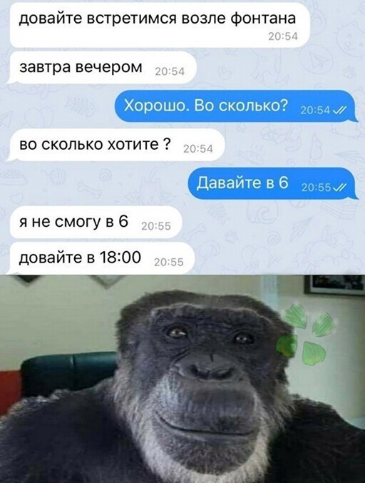 Смешные и познавательные картинки