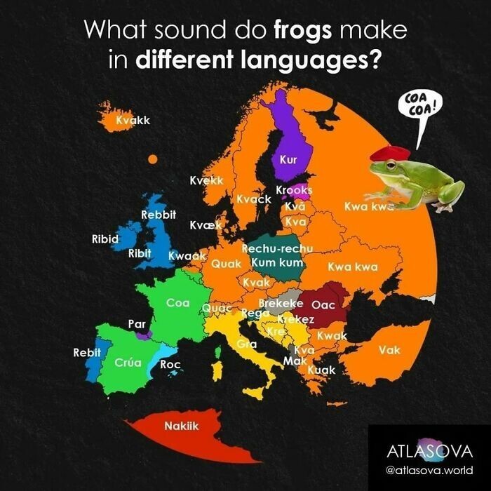 4. Какие звуки издают лягушки в разных языках