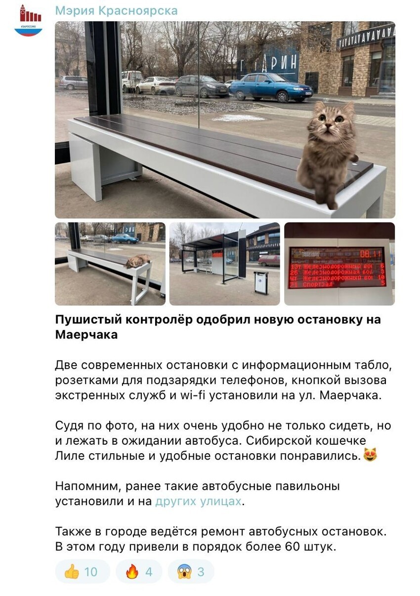 В мэрии Красноярска отчитались о новой остановке, прифотошопив котика