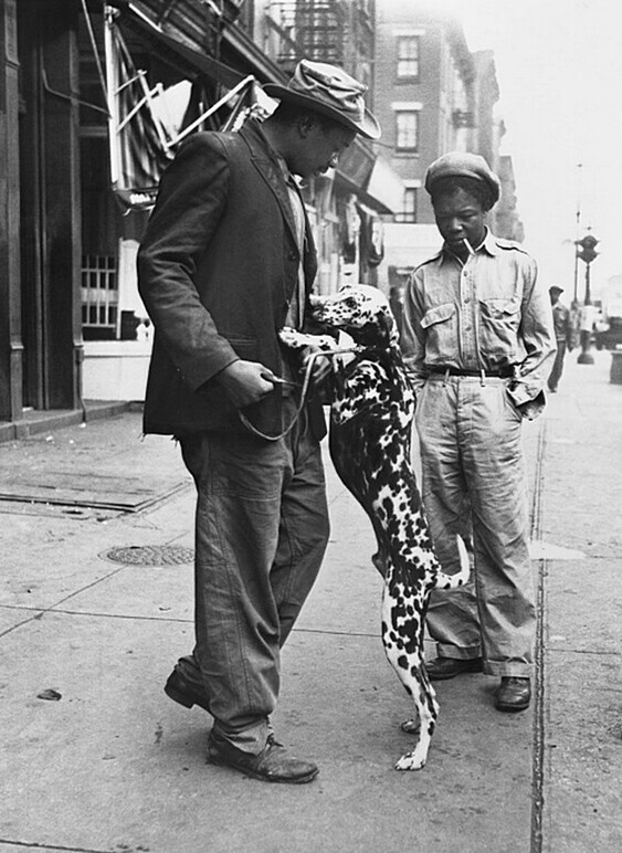 Гарлем, Нью-Йорк, 1949 год