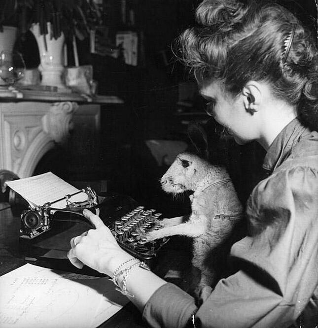  Женщина учит своего кенгуру печатать, 1955 год