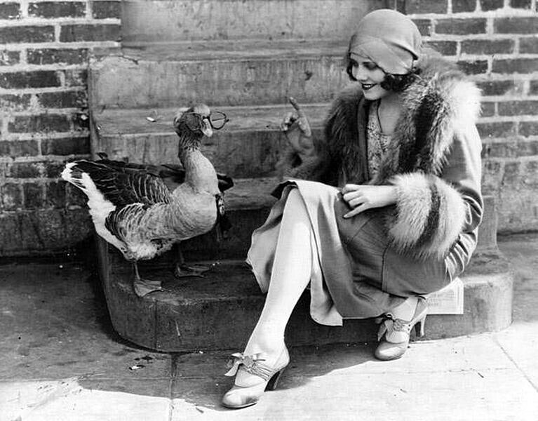 Киноактриса Фэй Уэбб со своим домашним гусем в привлекательных очках, 1925 год