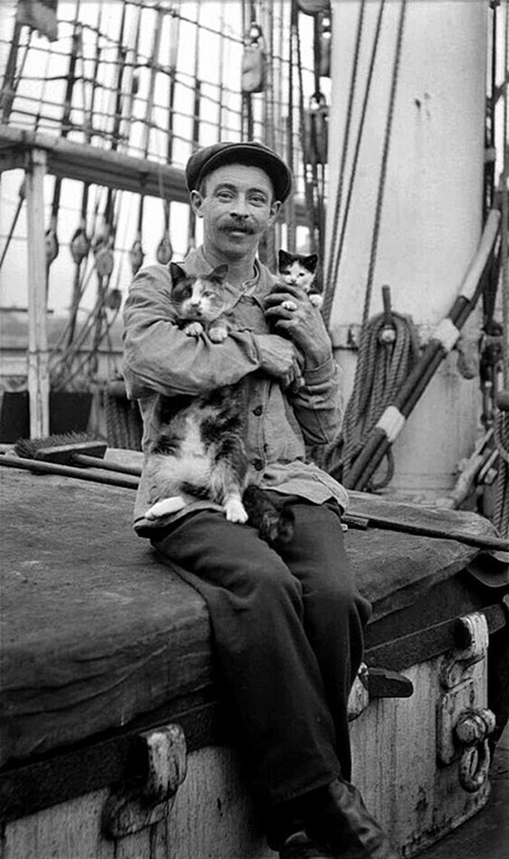 Моряк с кошкой и котенком, ок. 1910 года