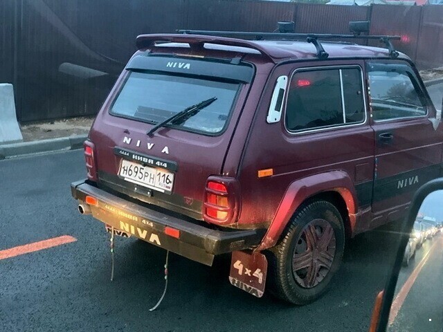 Автовсячина