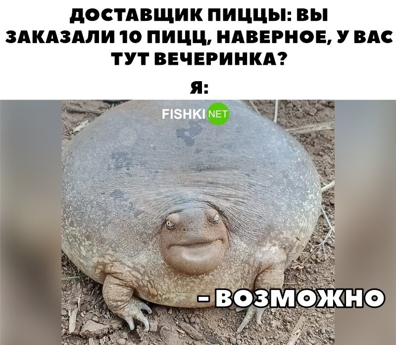 Скрины из соцсетей