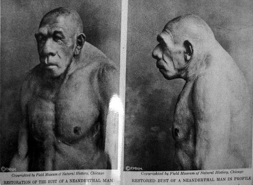 Неандертальцев погубила их могучая сексуальность