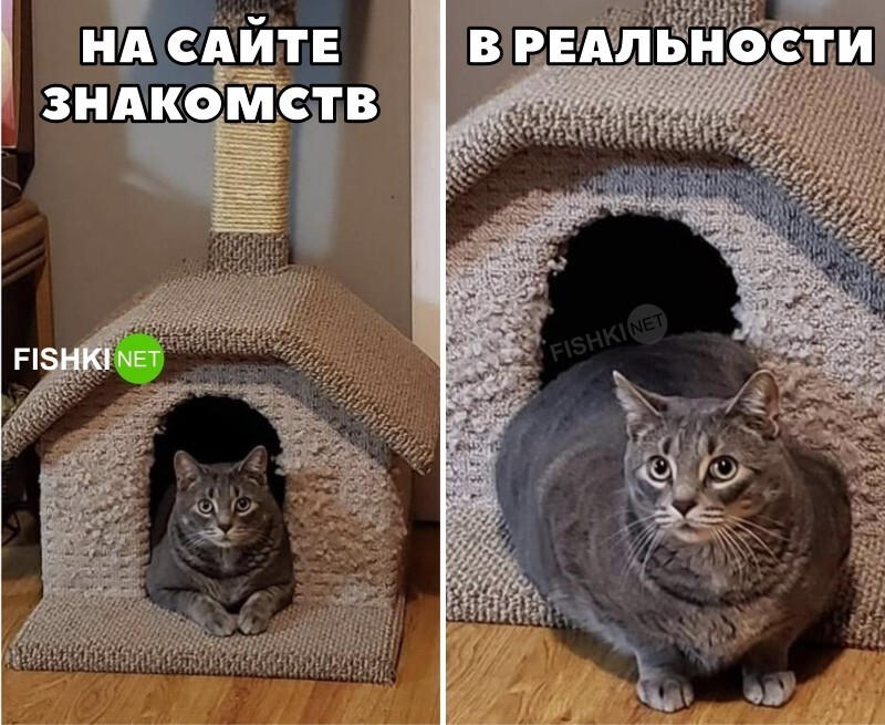 Очень жизненно 