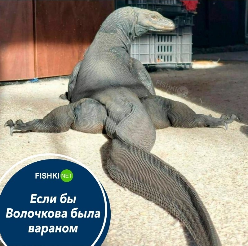 Очень похоже! 