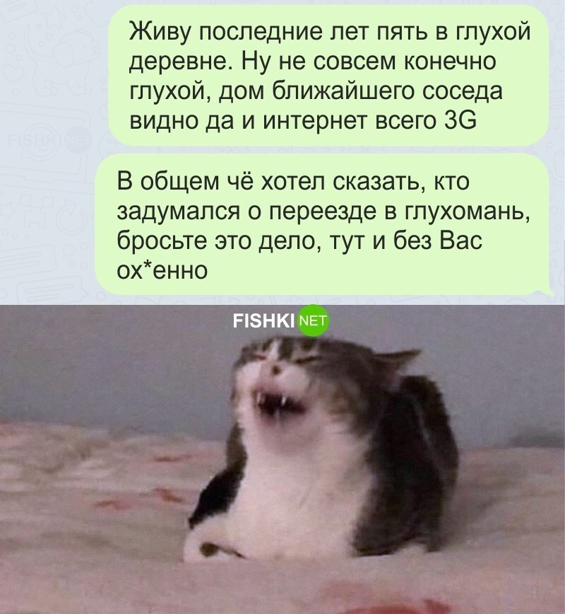 Не мешайте! 