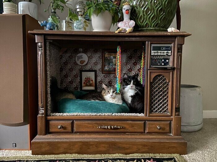 Я сделал из старого телевизора домик для кошки