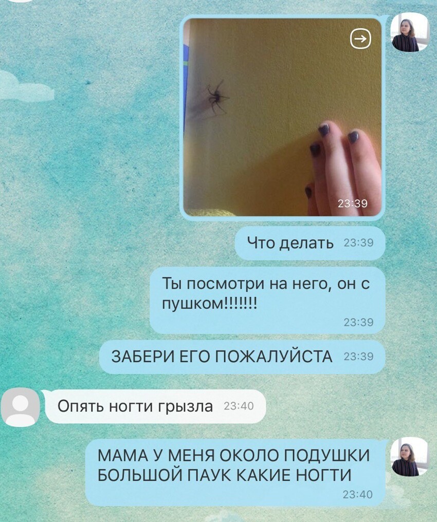 Родители замечают только то, что хотят