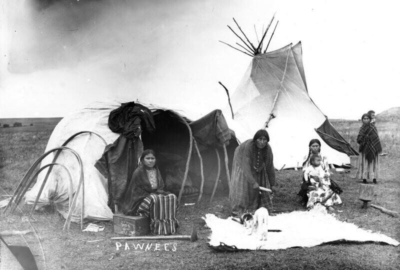 Женщины коренного народа пауни сушат кожу животного, 1886 год