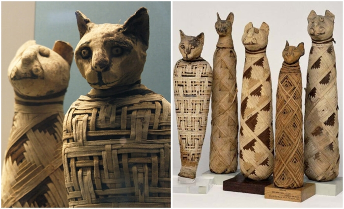 "Наташ, вставай": юмор в искусстве и древнеегипетские связи