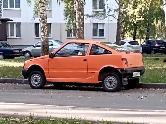 Автовсячина