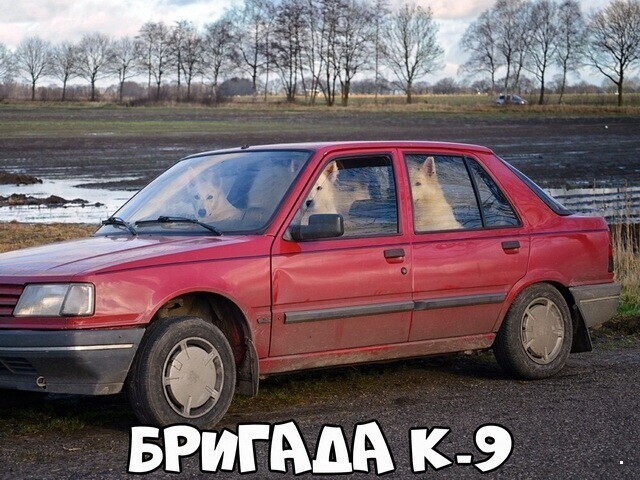 Автовсячина