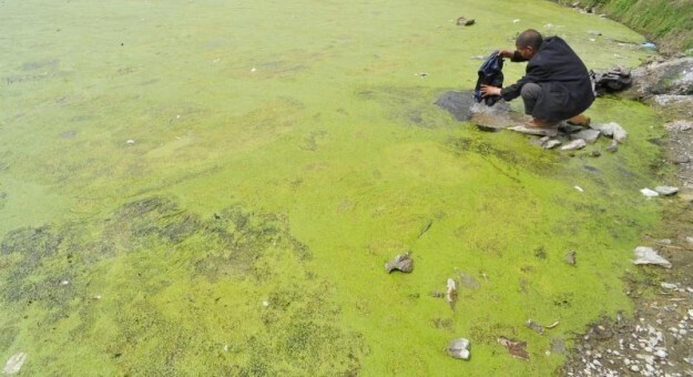 Только 1% из 560 миллионов городских жителей Китая дышит воздухом, который считается безопасным по стандартам Европейского Союза