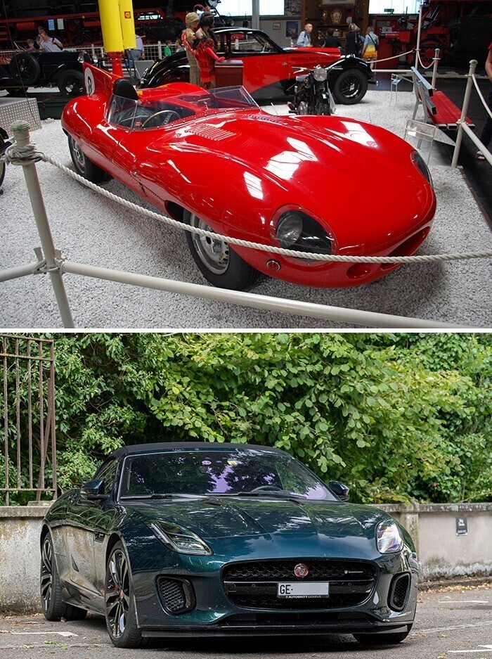 6. Jaguar D-Type (1955) и Jaguar F-Type R-Dynamic (2021)