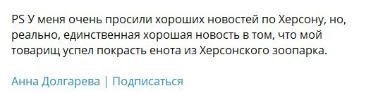 Россияне вывезли из Херсона енота, который стал героем мемов и причиной истерики на Украине